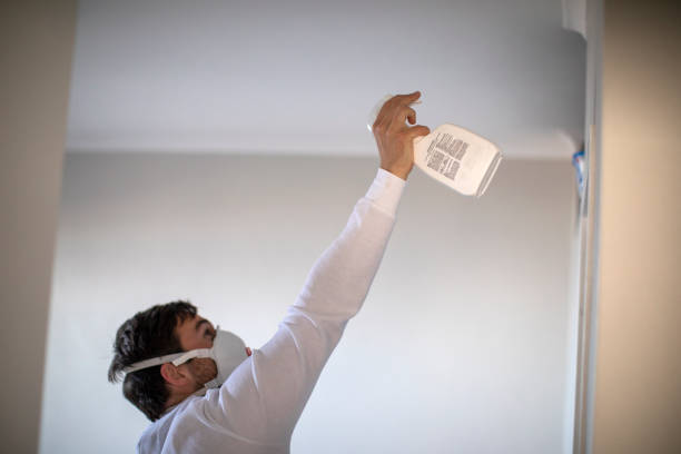 Best Toxic Mold Removal  in Willow Grove, TX