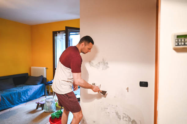 Best Same-Day Mold Removal  in Willow Grove, TX